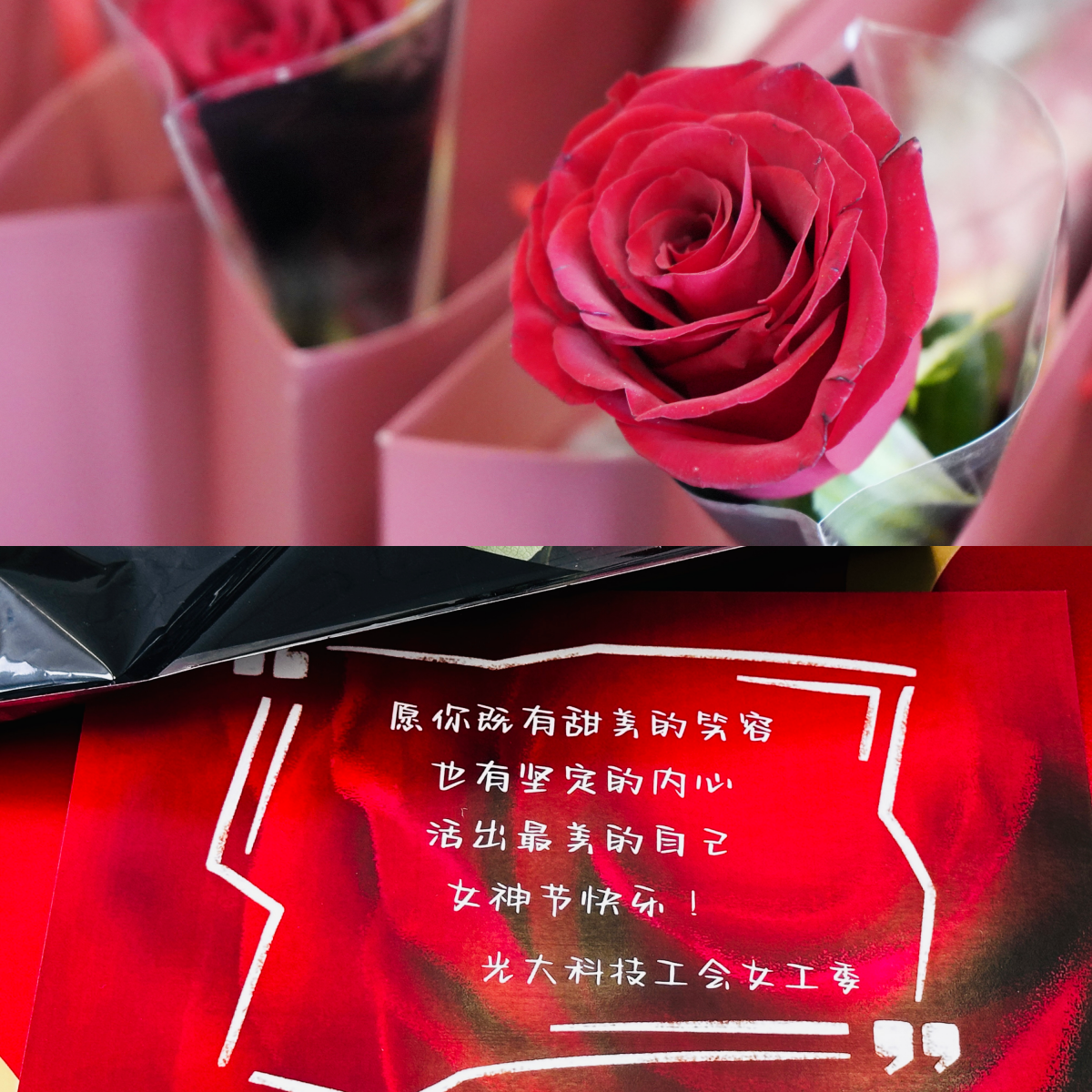 大满贯官网-不凡成绩非凡,相信品牌的实力