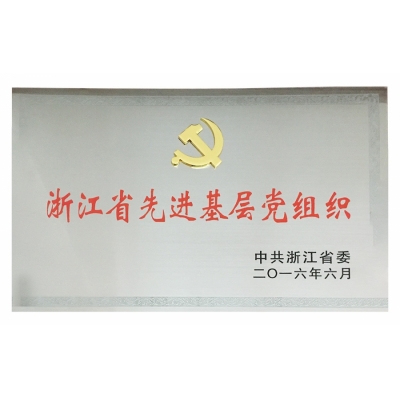 Advanced grassroots party organization
