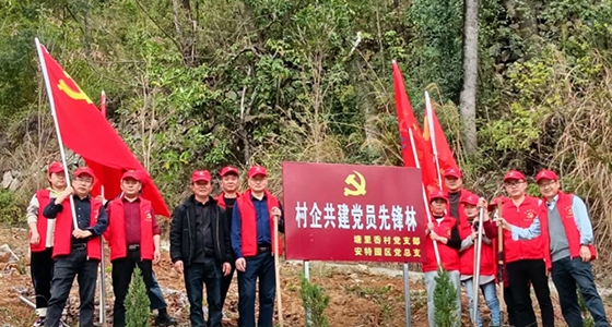 村企共建，共植先锋林