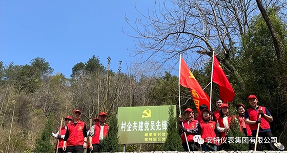 党建强引领，共植先锋林